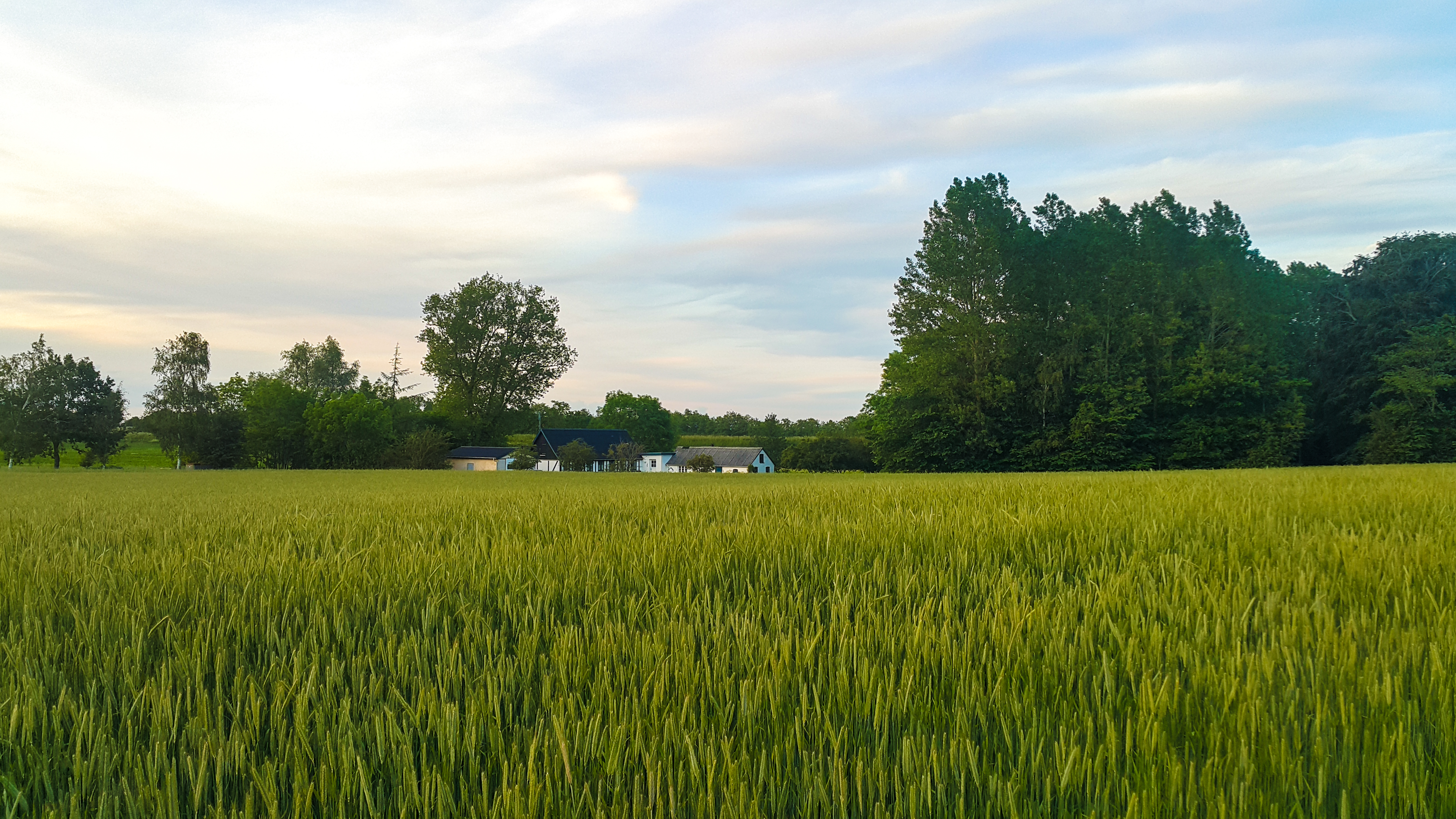 Зелената екосистема на Дания