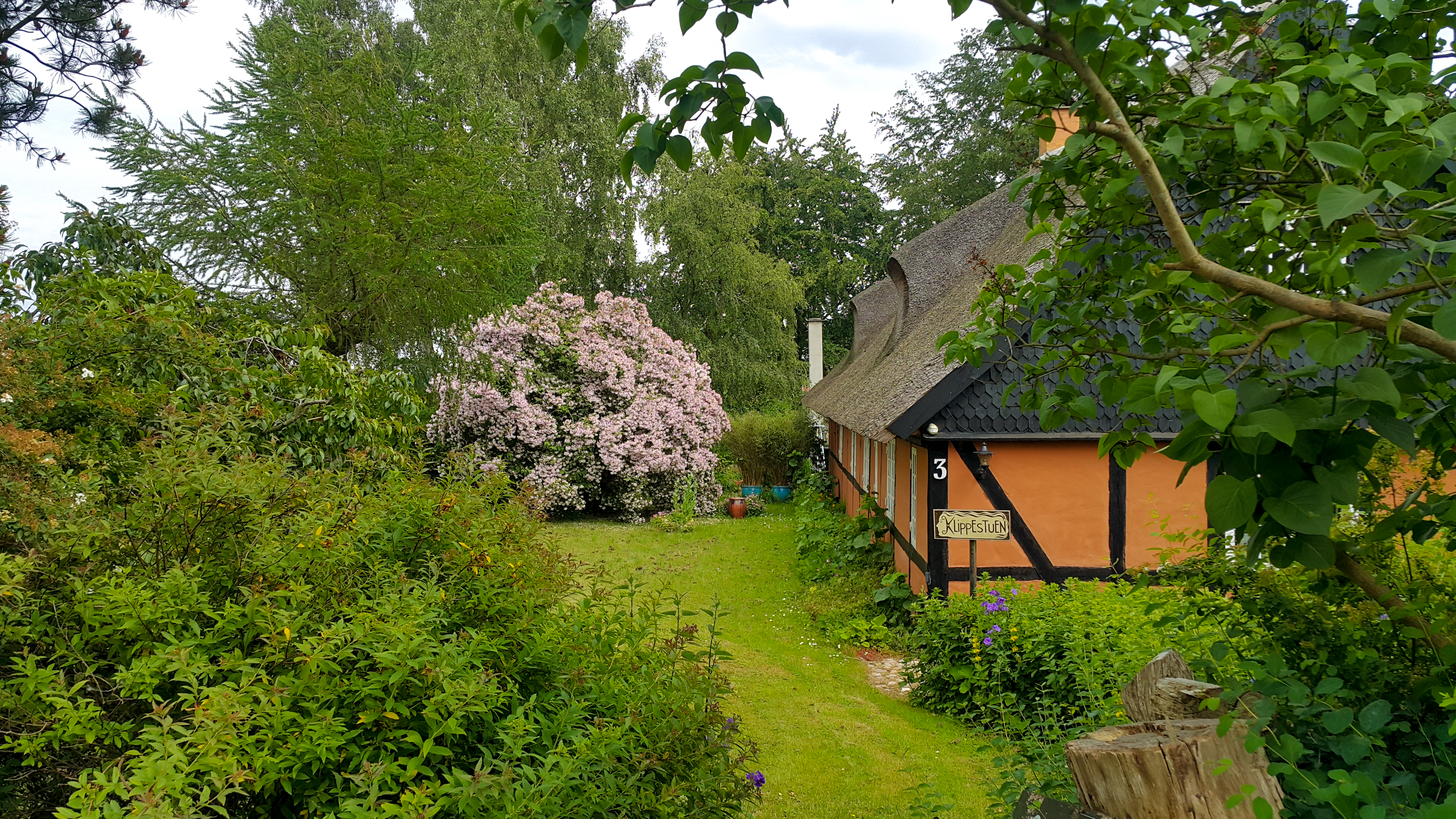 Зелената екосистема на Дания