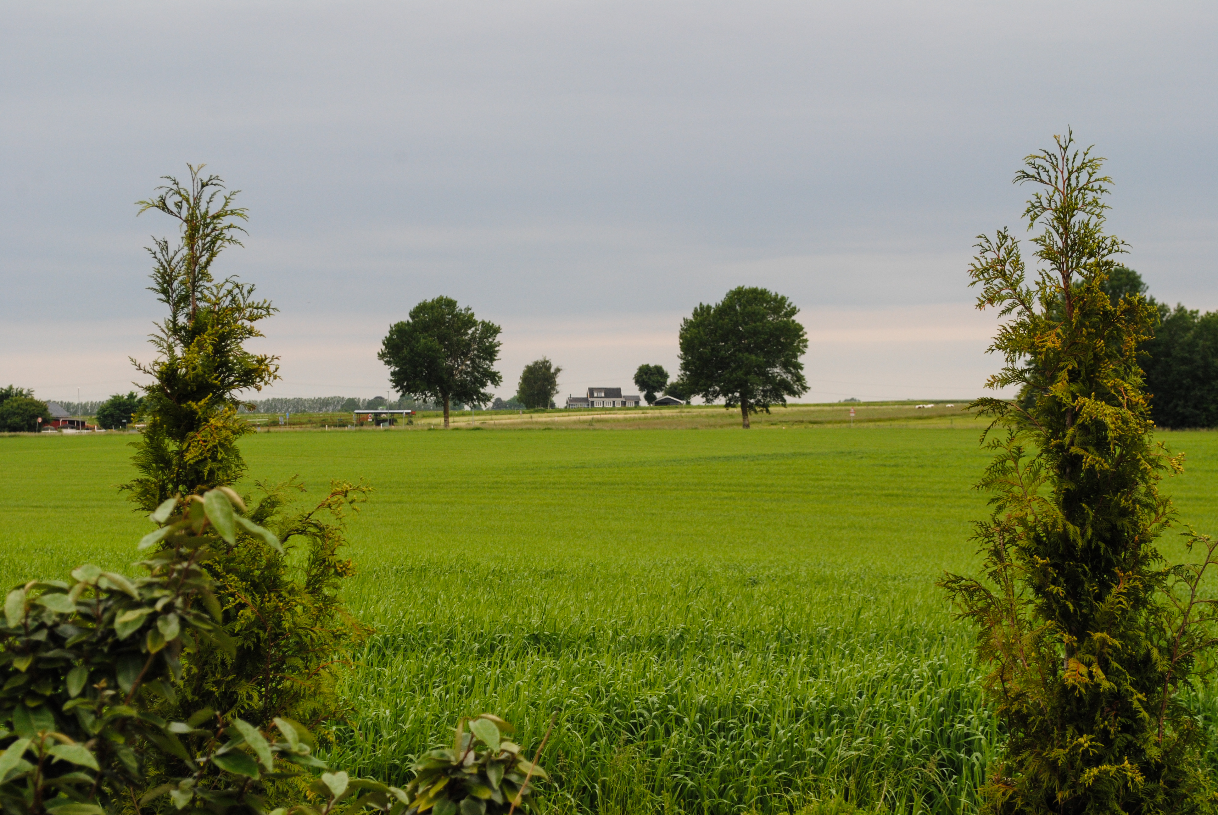 Зелената екосистема на Дания