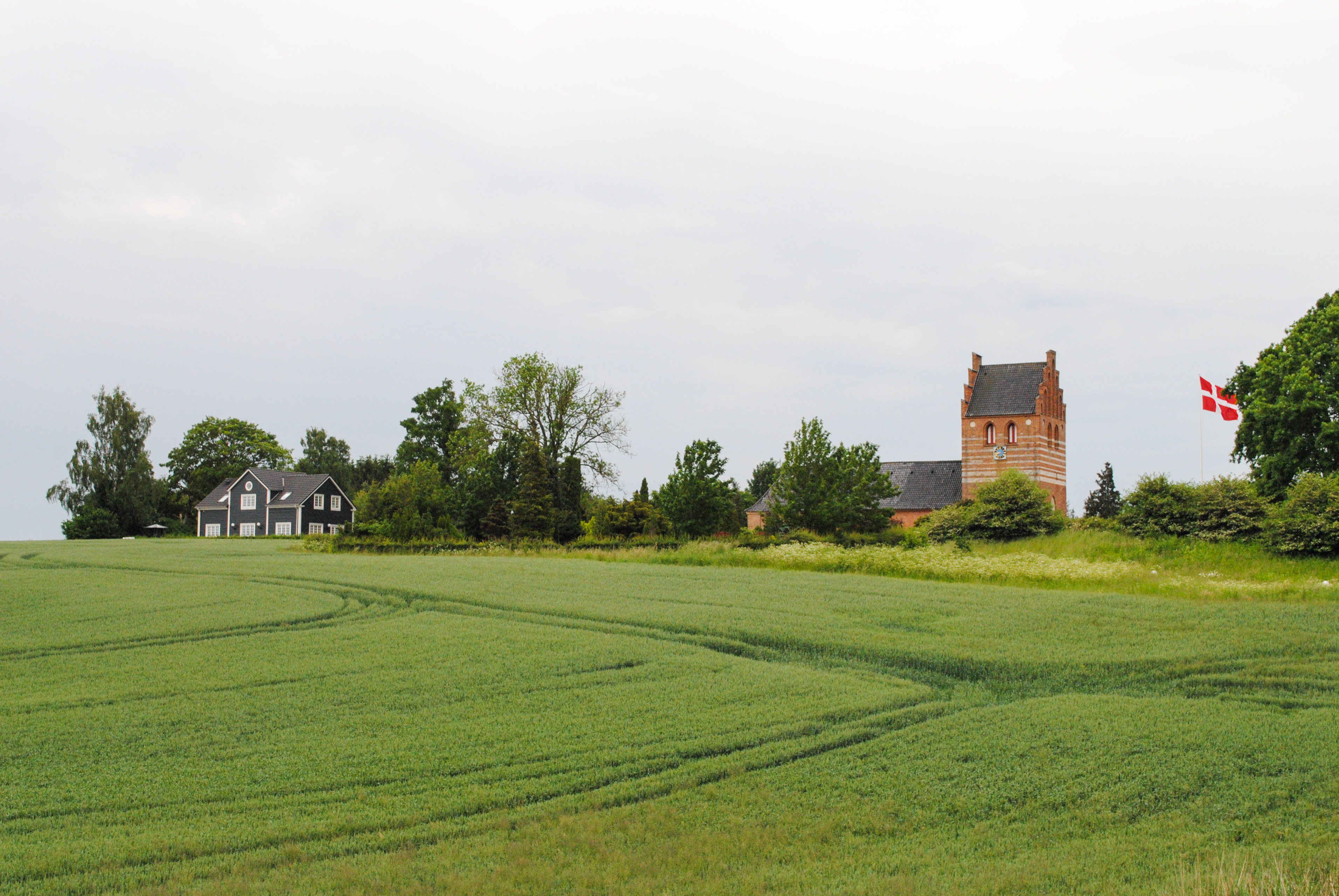 Зелената екосистема на Дания