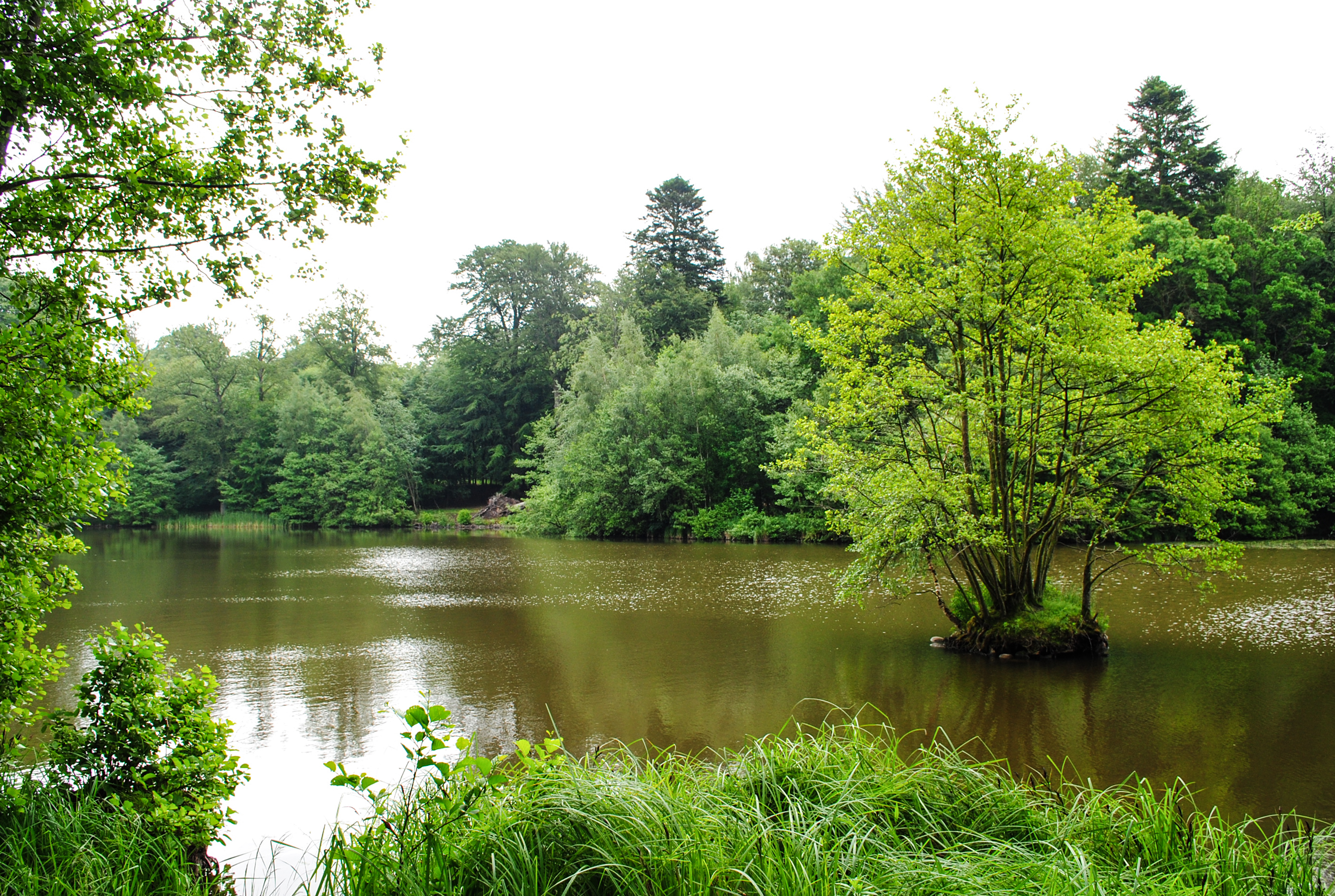 Зелената екосистема на Дания