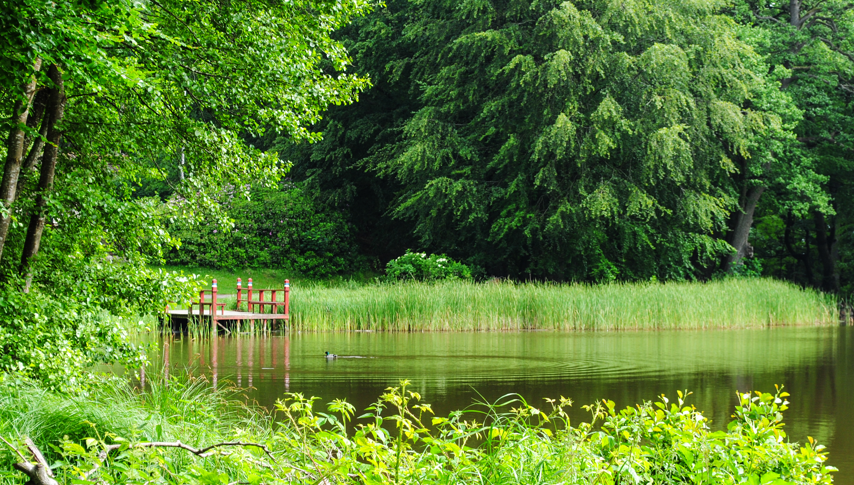 Зелената екосистема на Дания