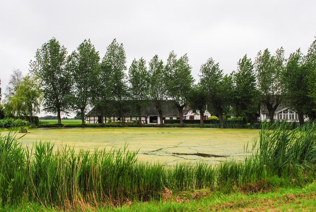 Зелената екосистема на Дания