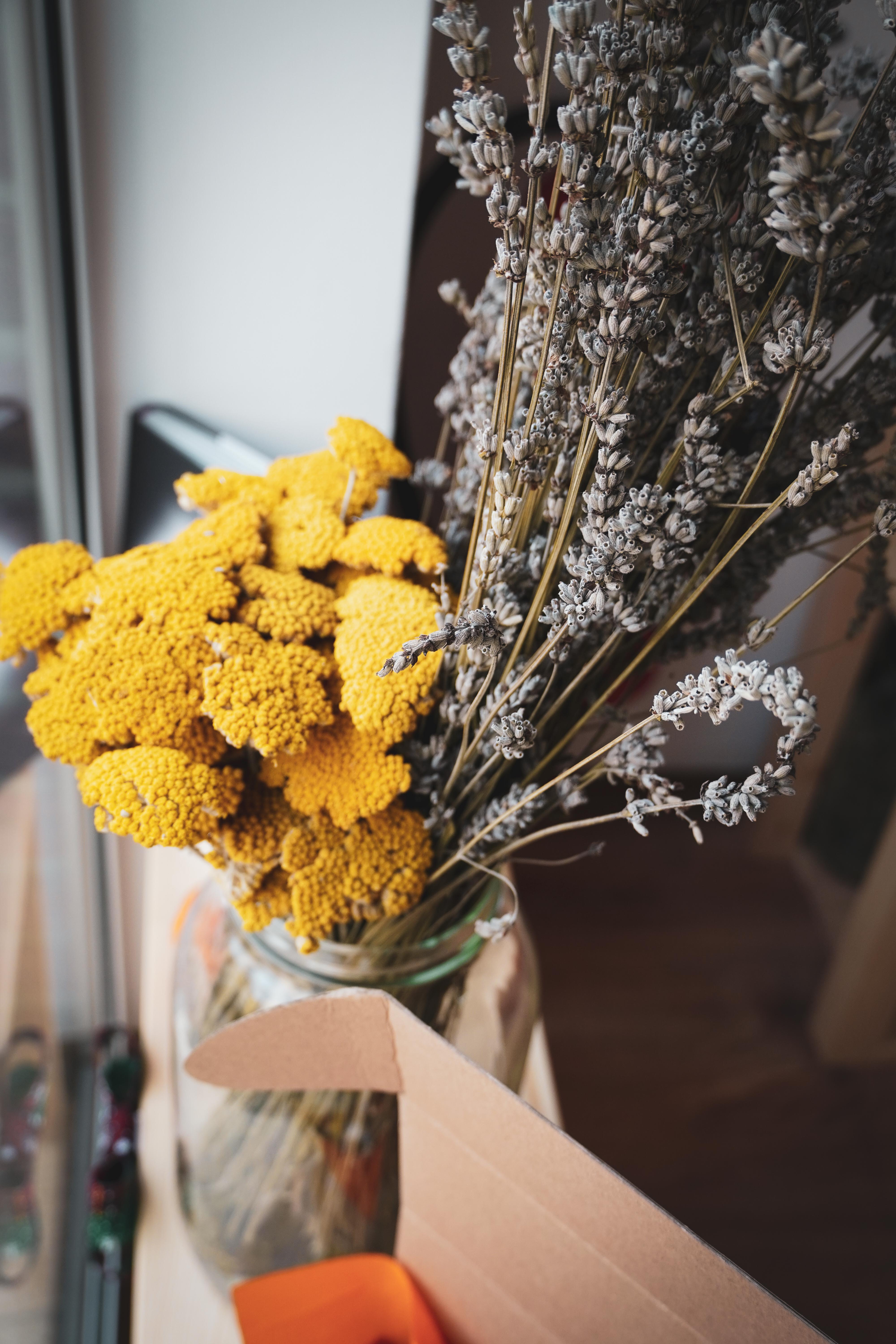 Магазин за билки, подправки и чай "Тинтява" във Варна