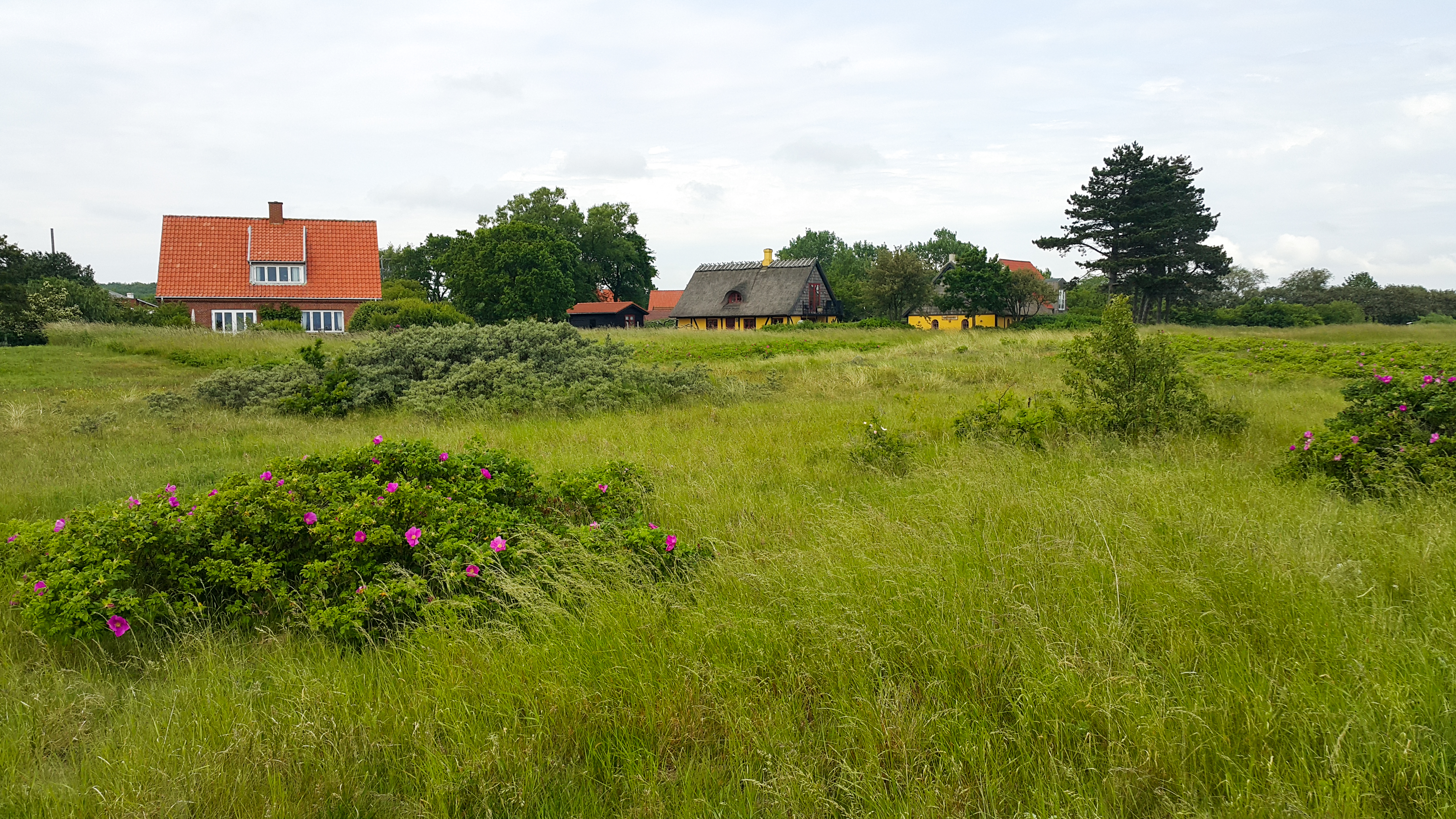 Пристанището Клинтхолм от остров Møns, Дания