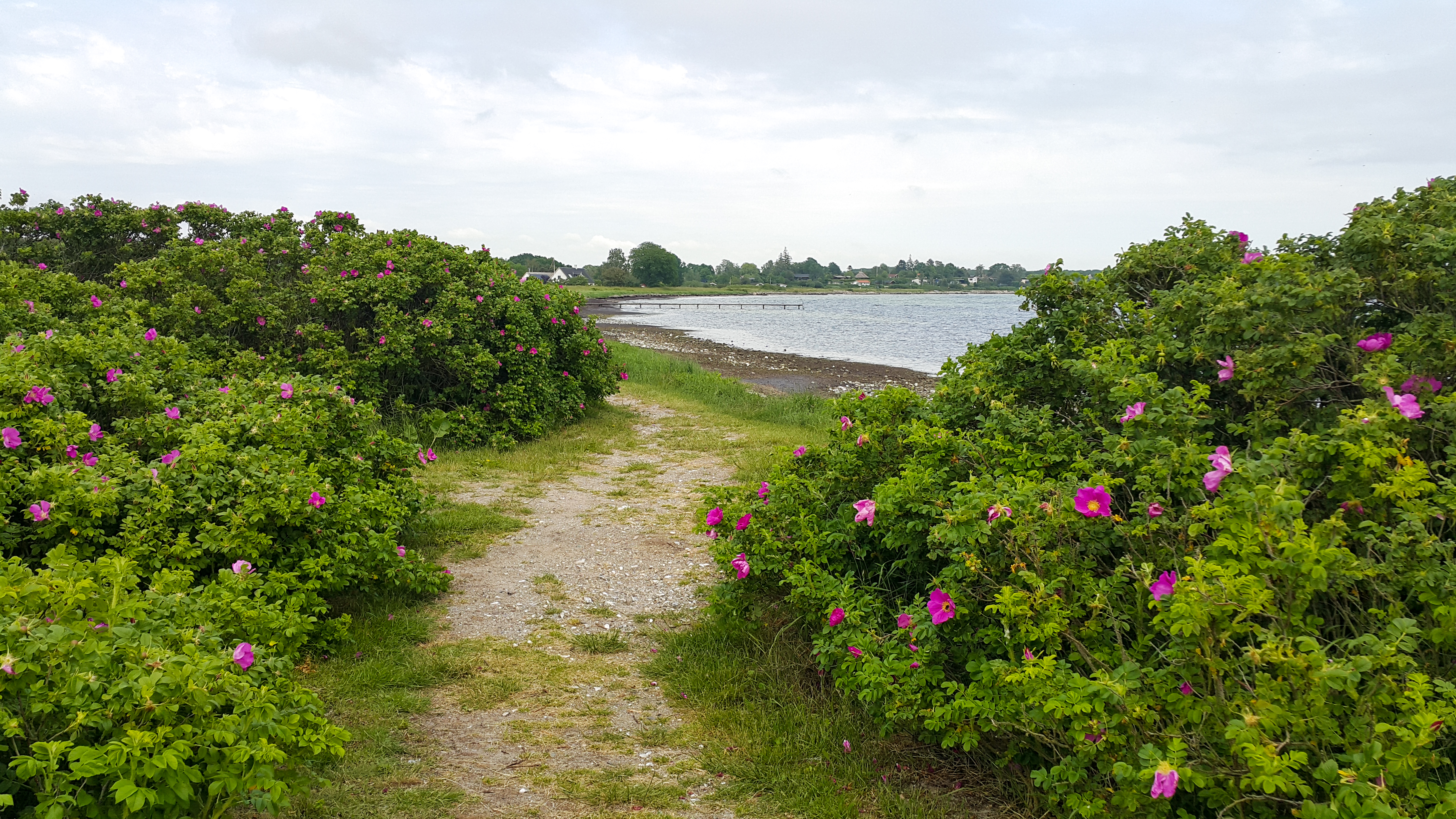 Пристанището Клинтхолм от остров Møns, Дания