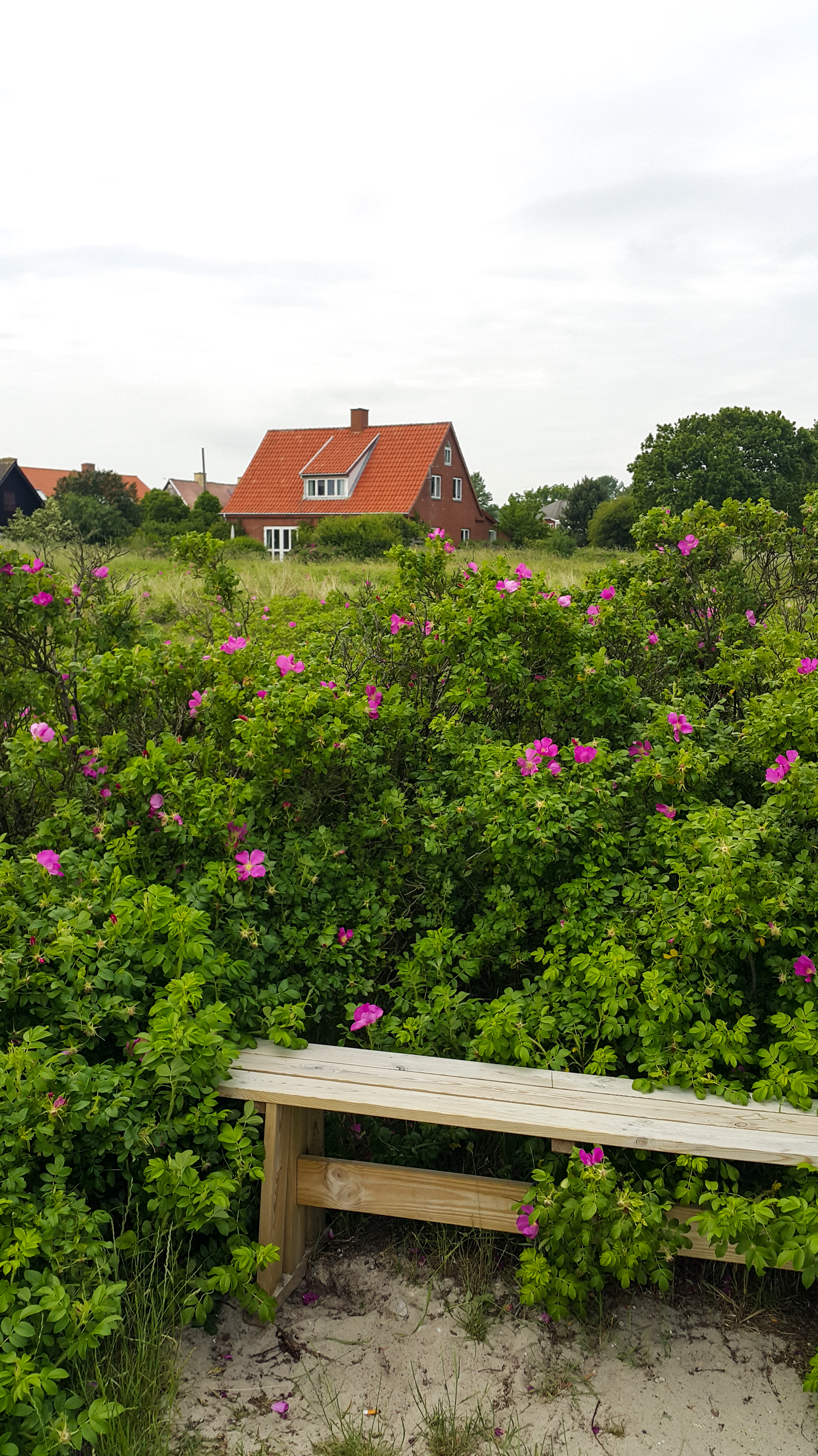 Пристанището Клинтхолм от остров Møns, Дания