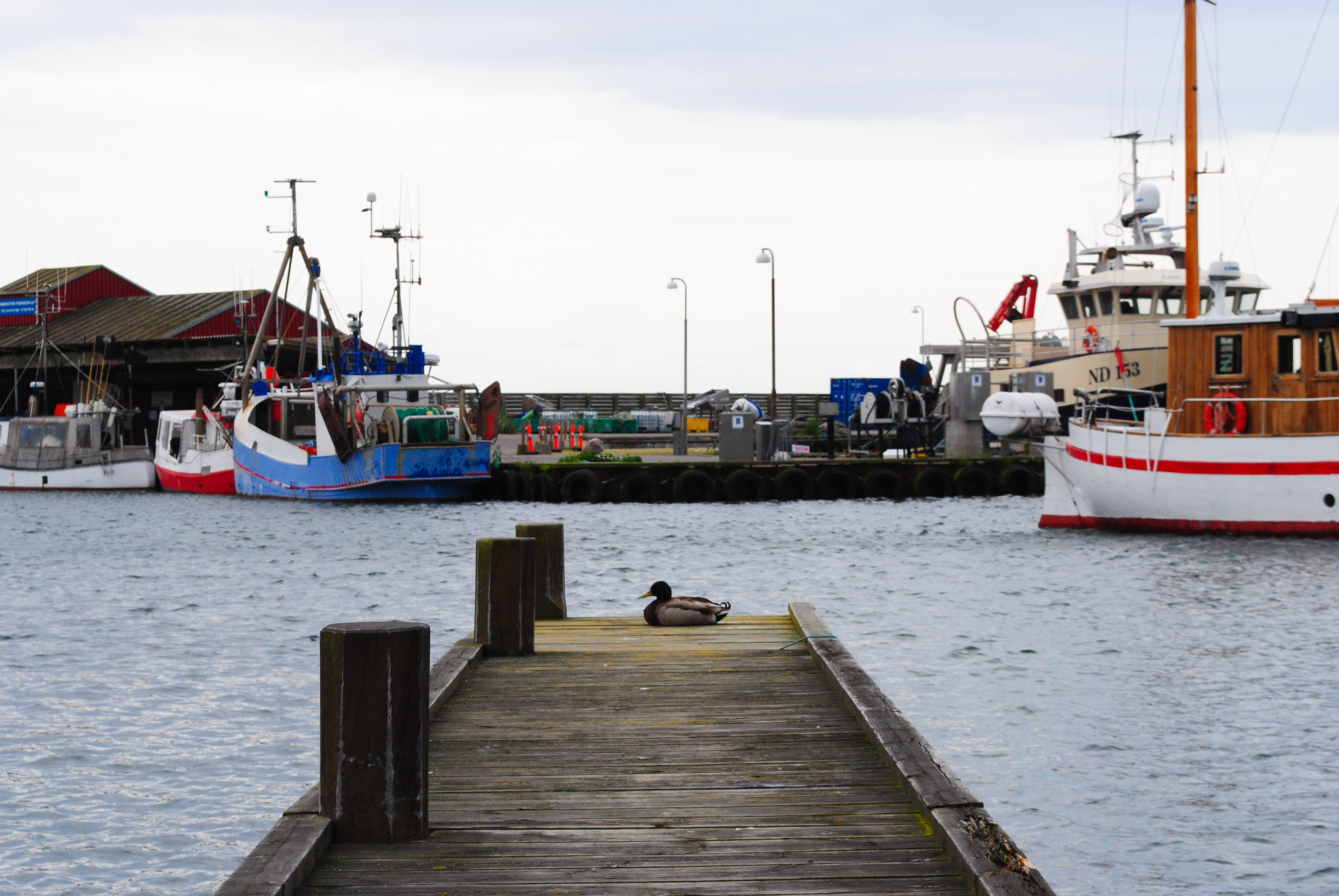 Пристанището Клинтхолм от остров Møns, Дания