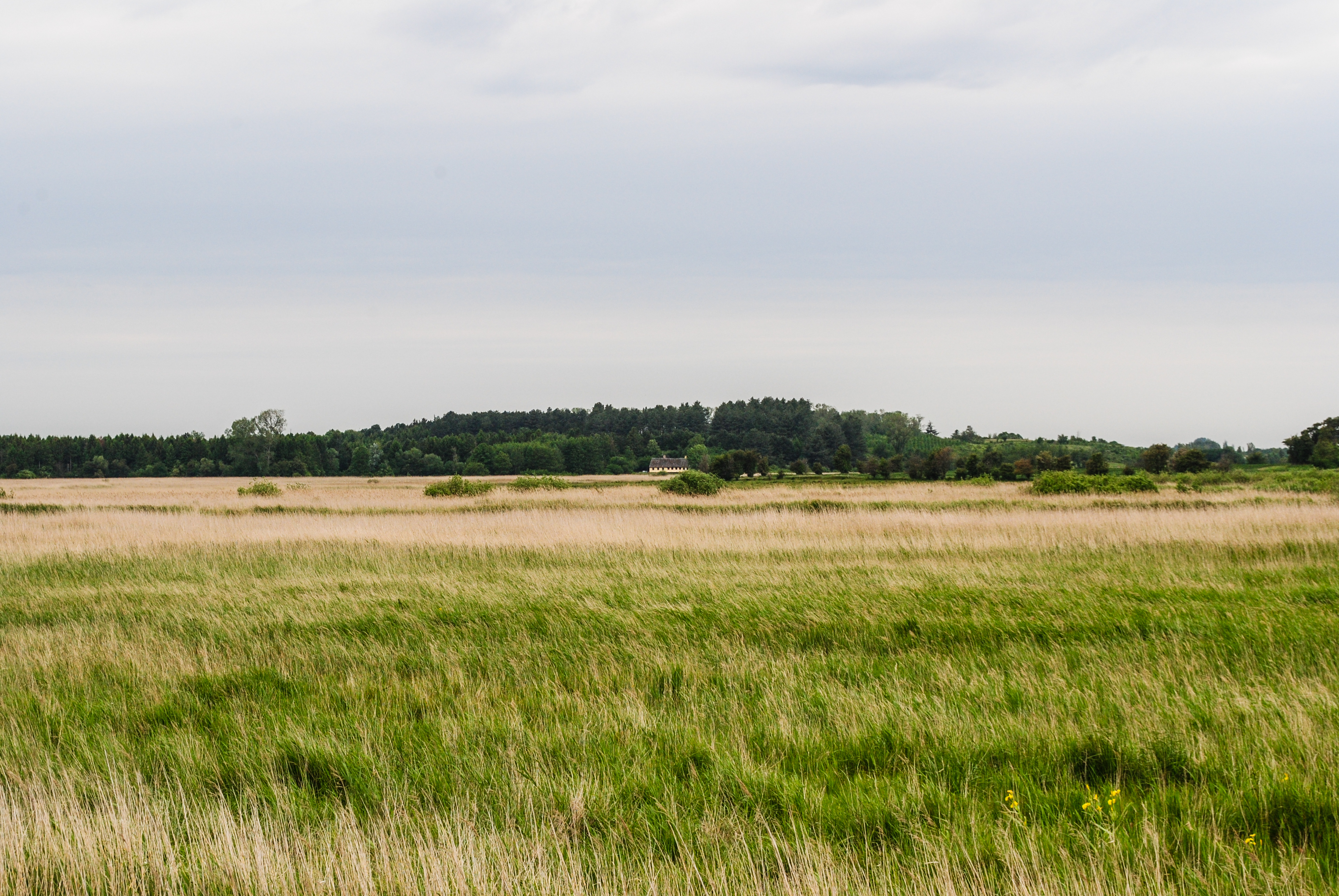 Пристанището Клинтхолм от остров Møns, Дания