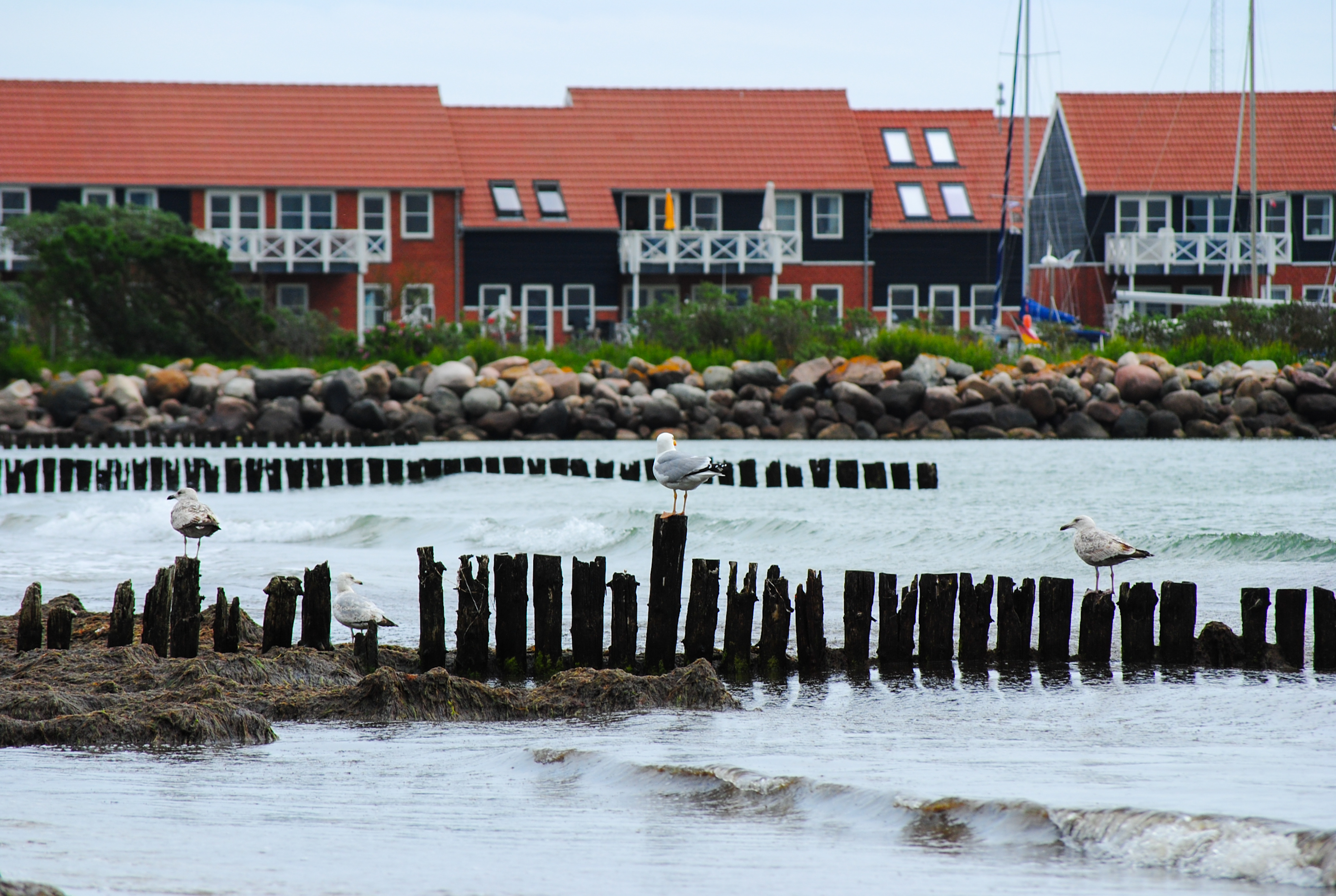 Пристанището Клинтхолм от остров Møns, Дания