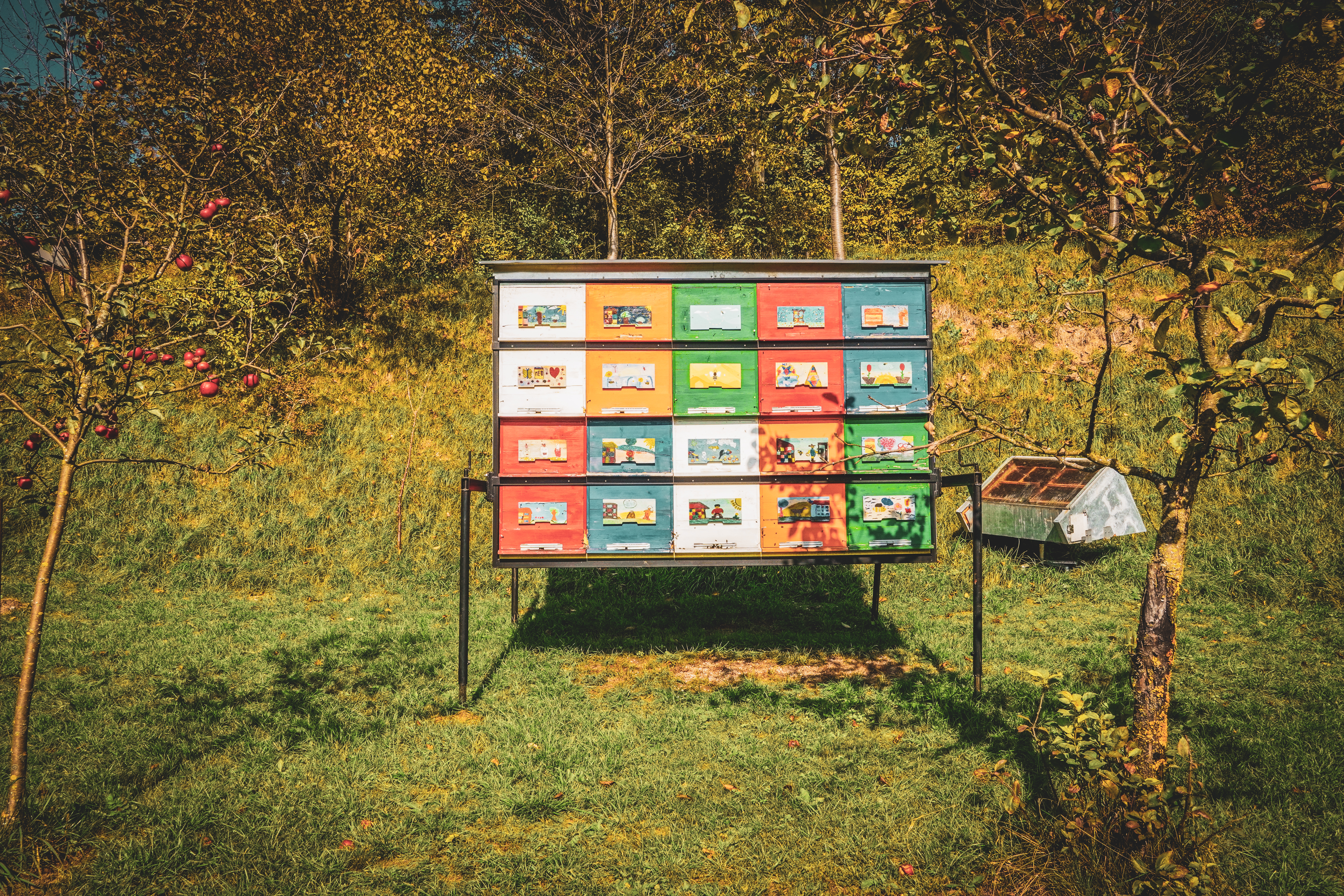 Пчелин в Словения