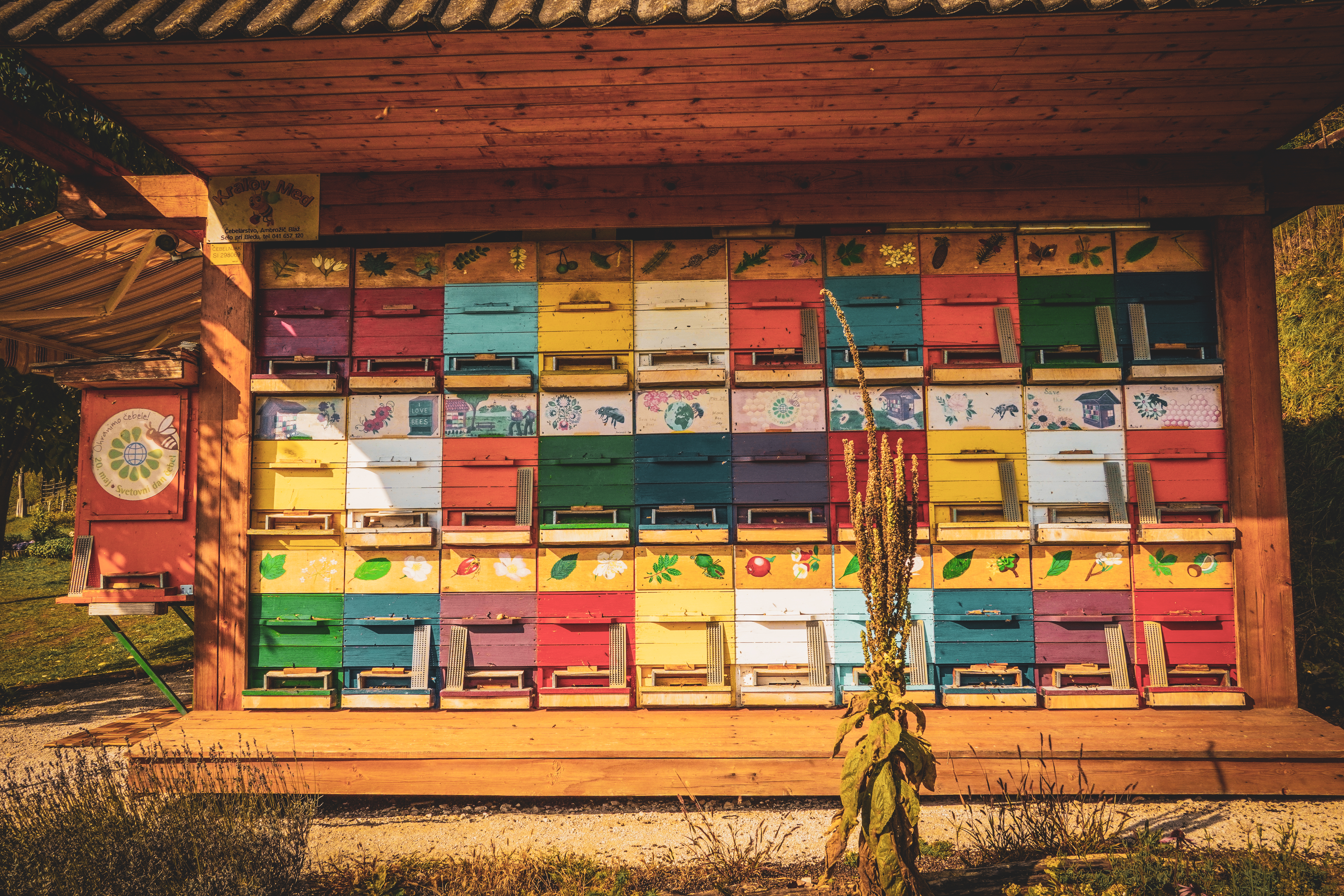 Пчелин в Словения