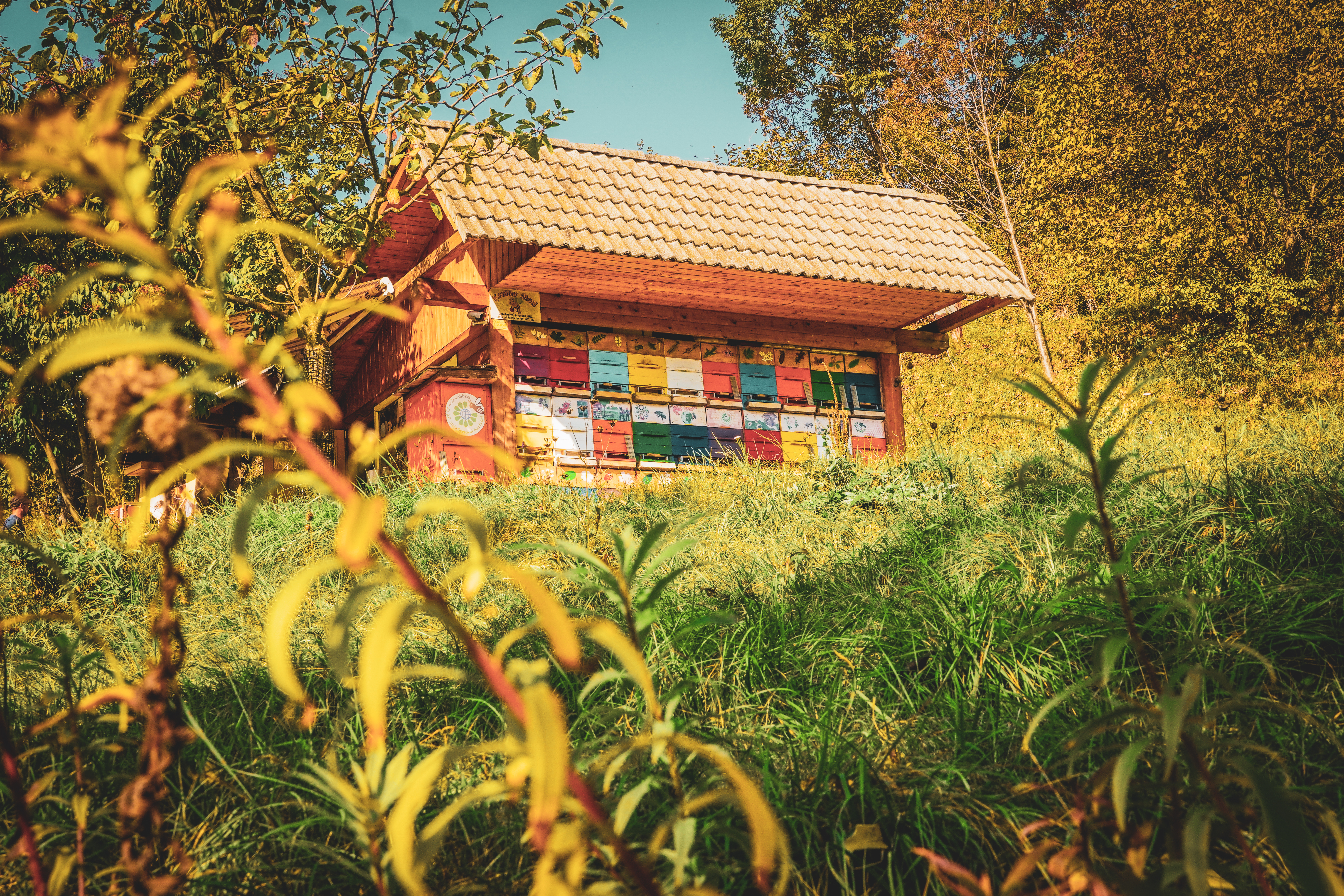 Пчелин в Словения