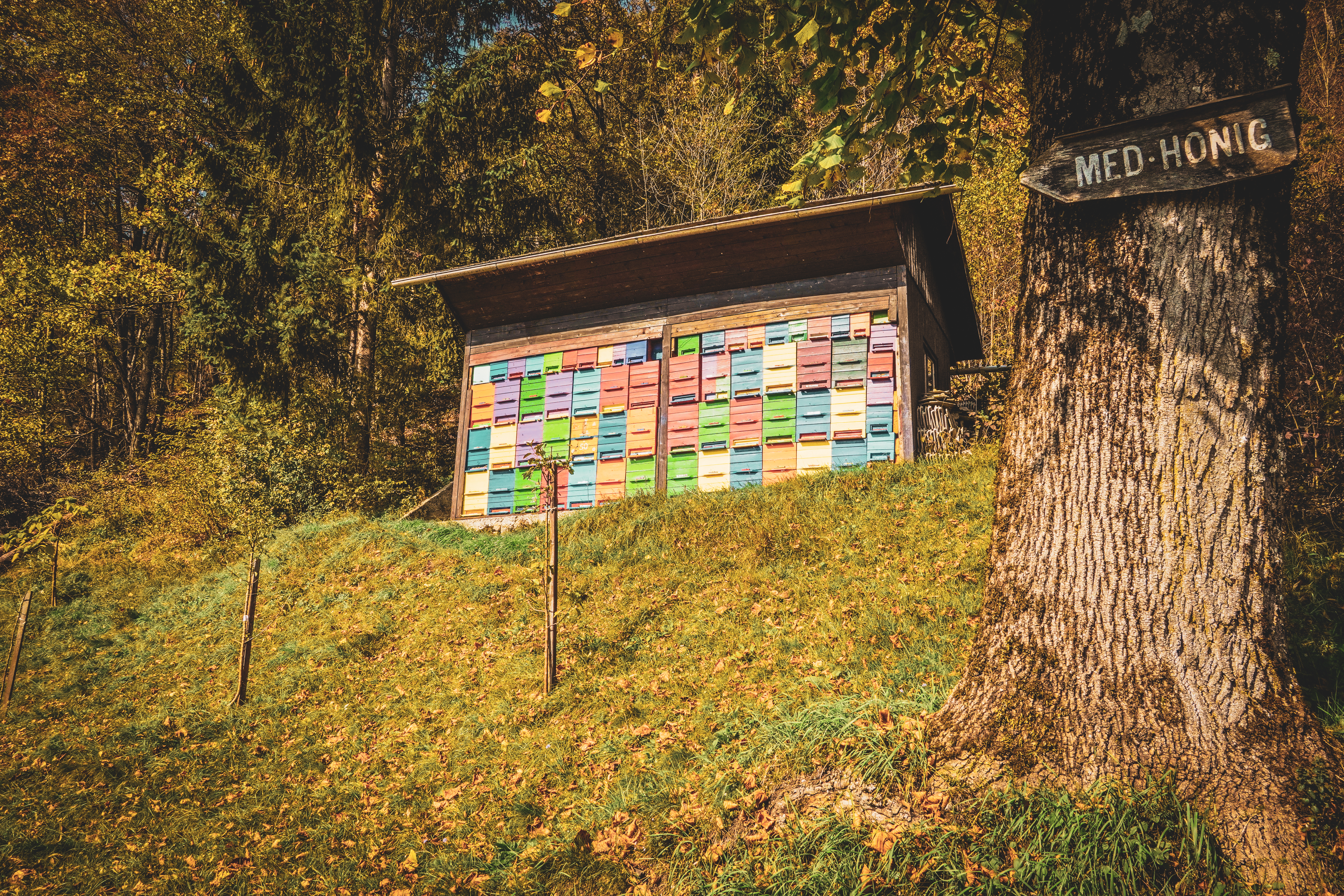 Пчелин в Словения