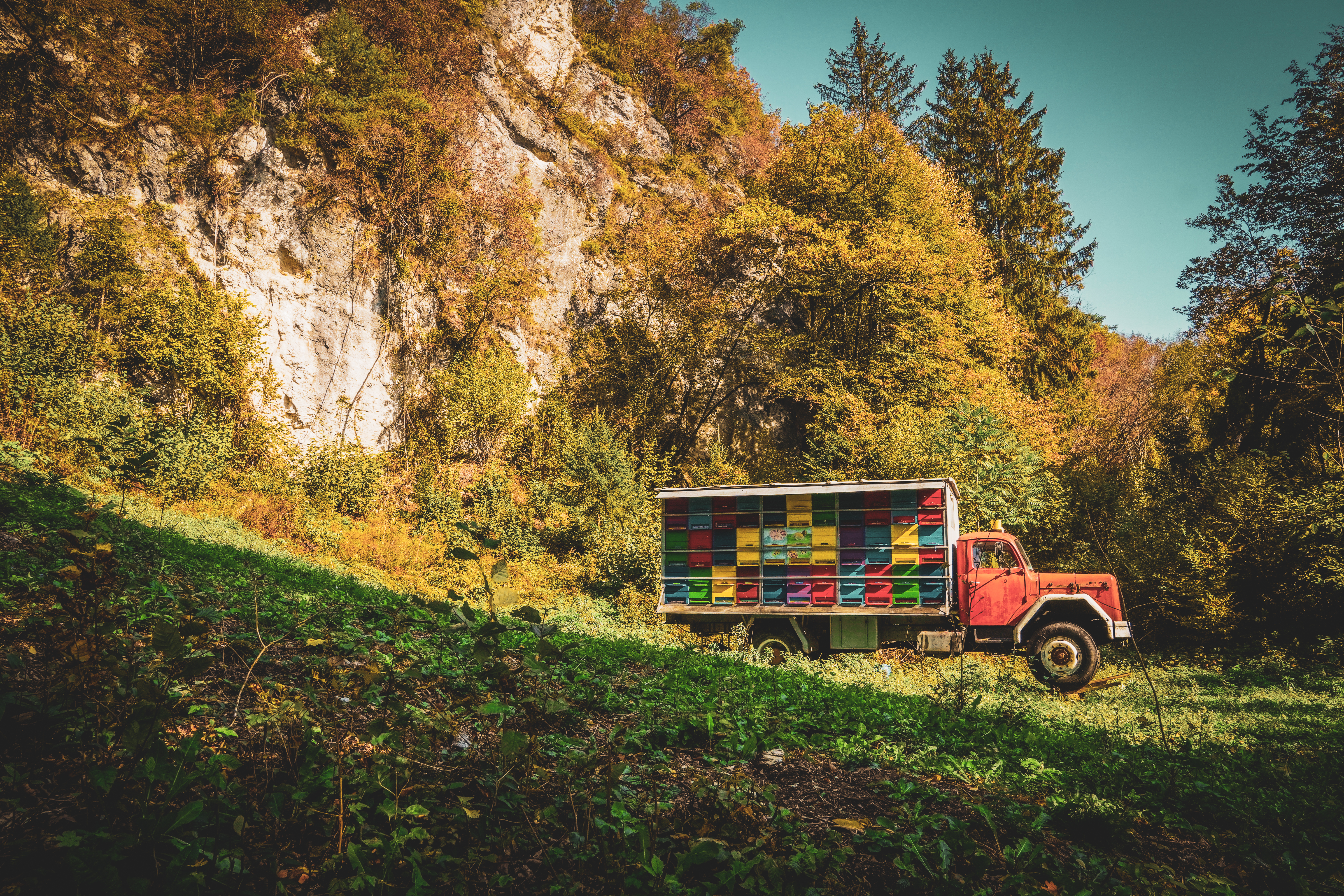 Подвижен пчелин в гората на Словения