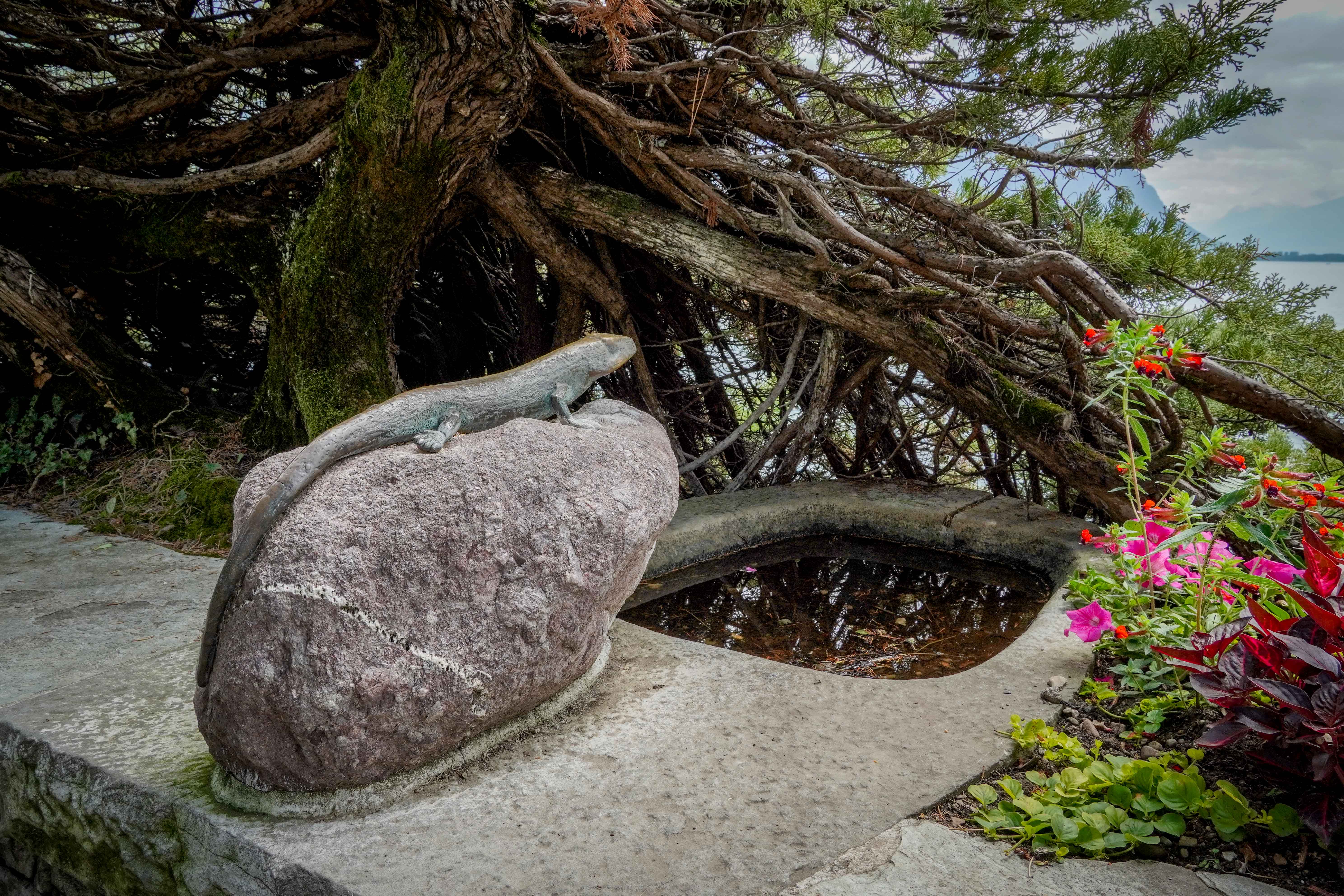 Монтрьо и Лозана, Швейцария