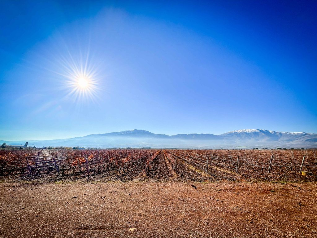 Винарна Ktima Pavlidis край град Драма в Северна Гърция