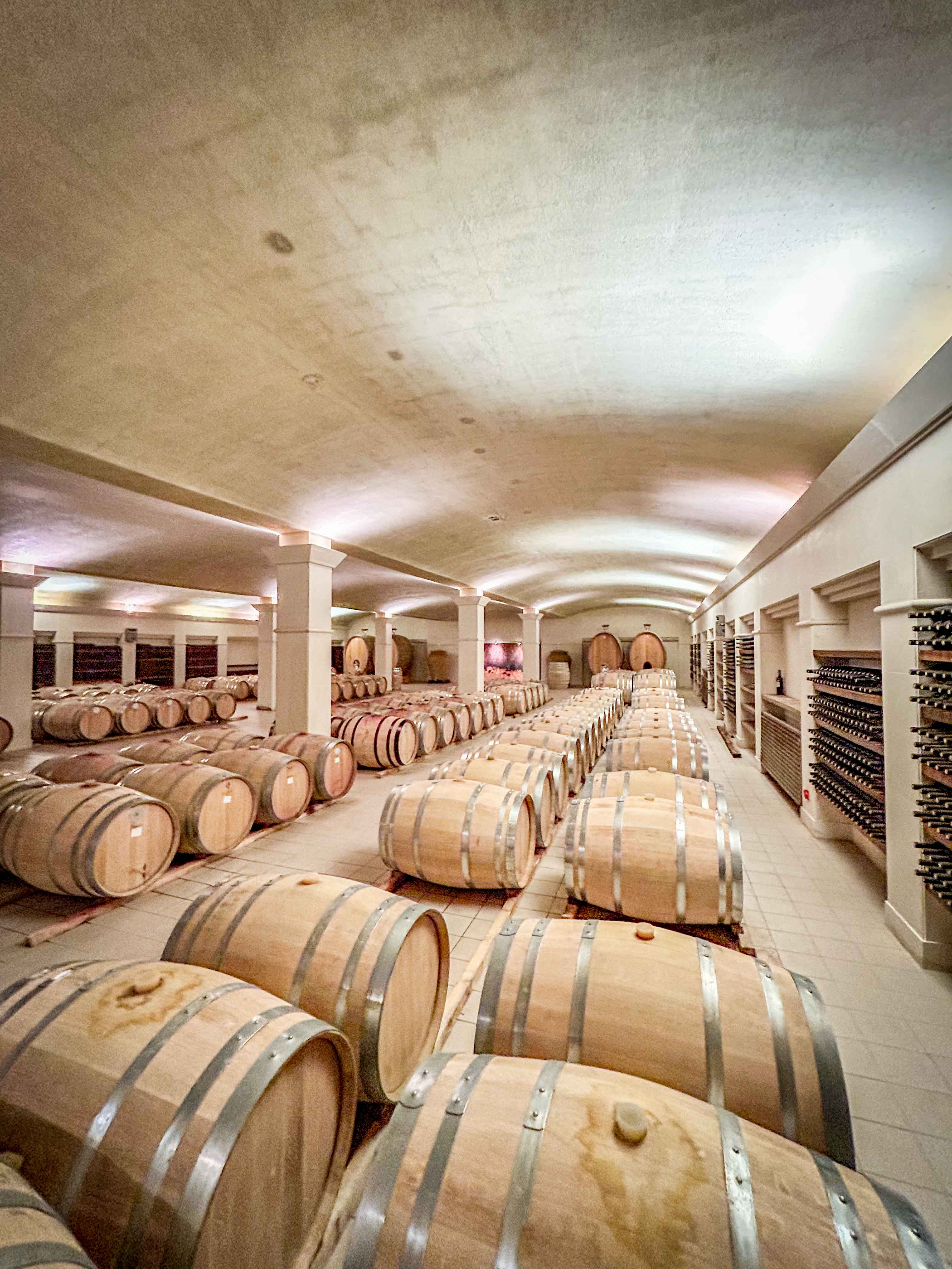 Винарната Ktima Pavlidis край гръцкия град Драма