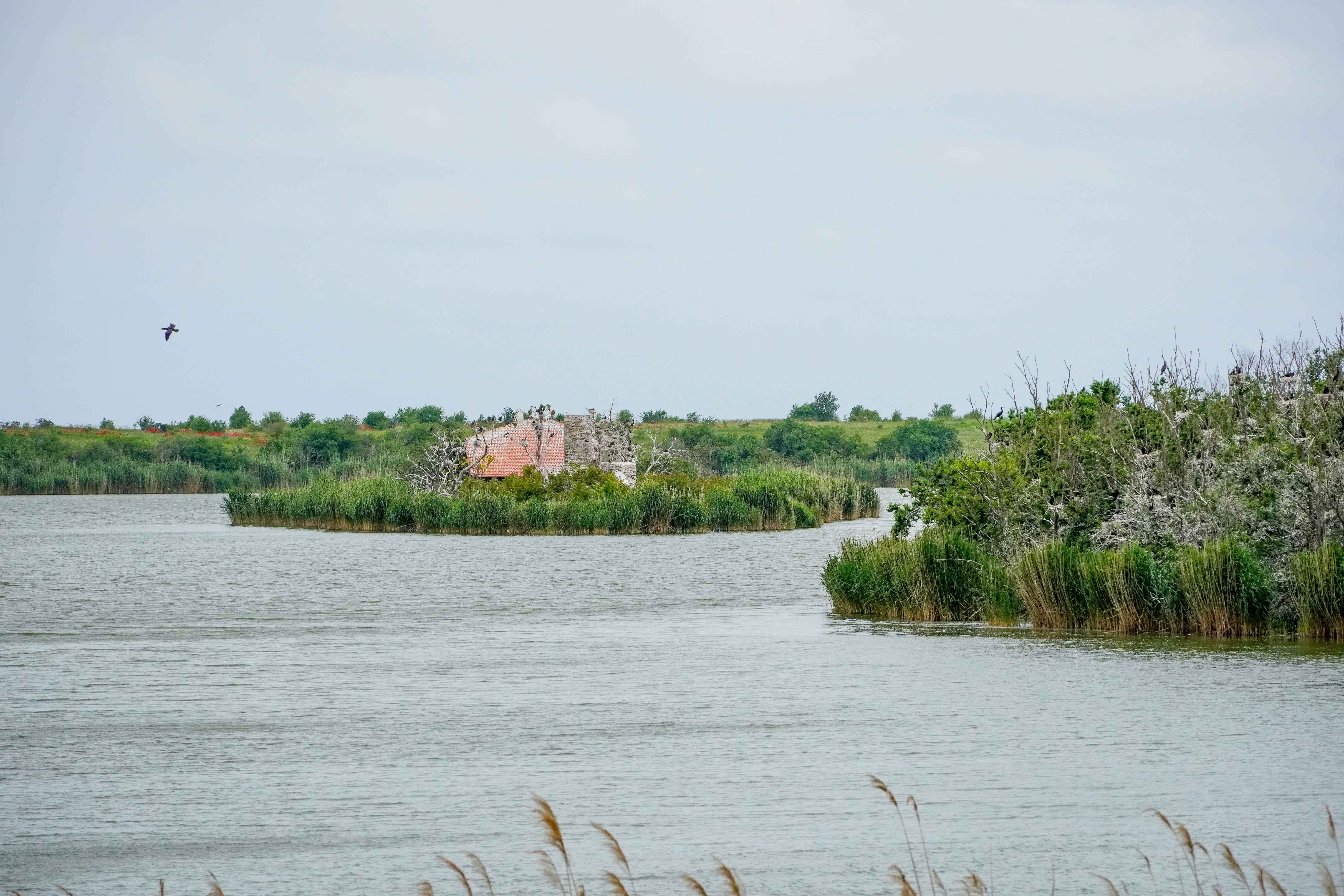 Езерото Дуранкулак - Култура Хаманджия