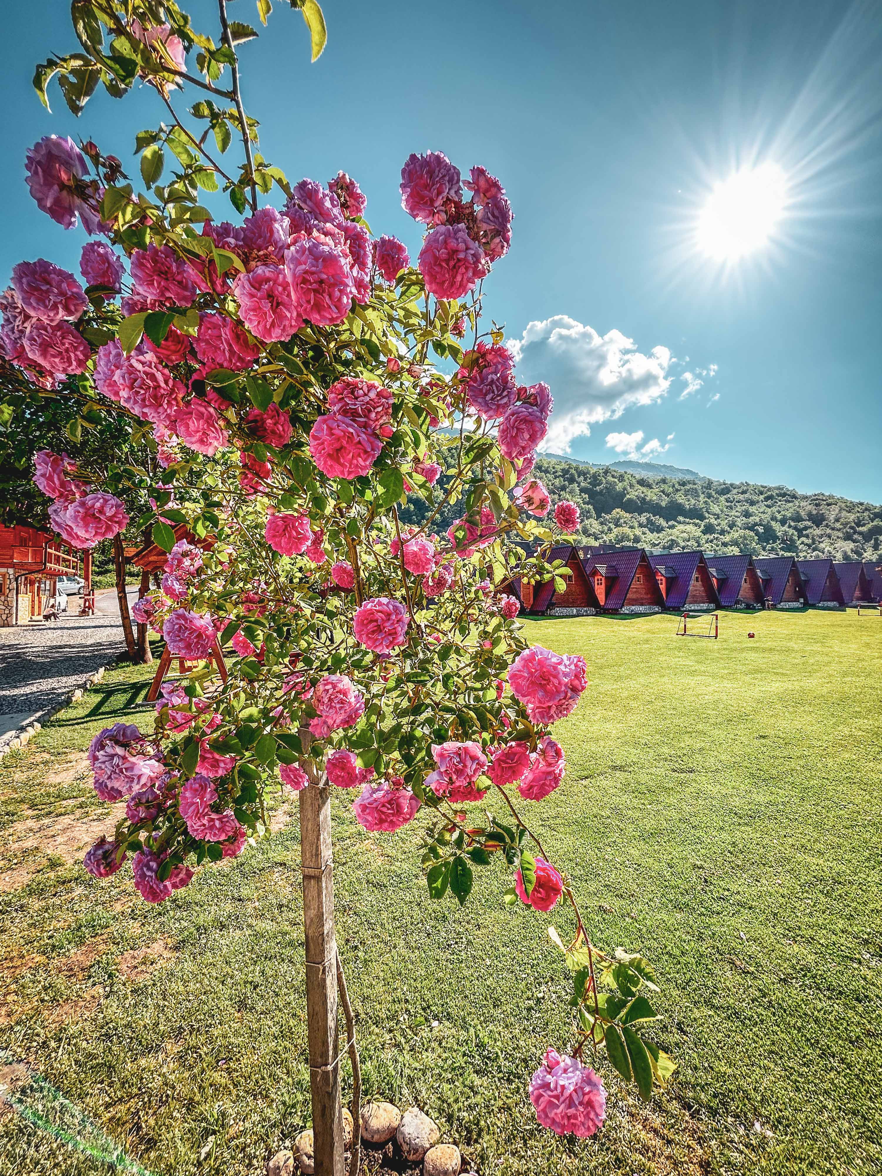 Рафтинг по реките Дрина и Тара в Босна и Херцеговина: Незабравимо приключение