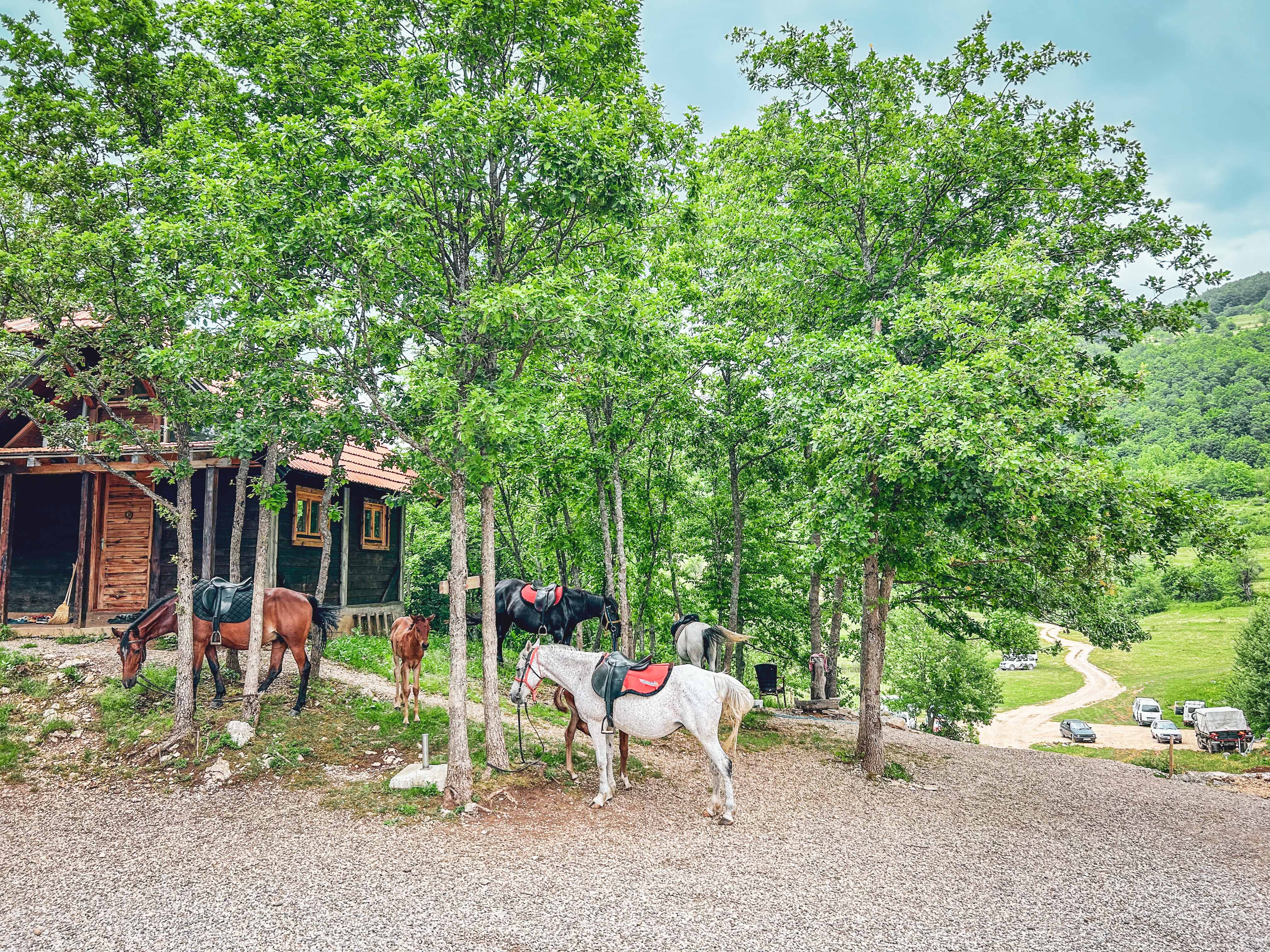 Рафтинг по реките Дрина и Тара в Босна и Херцеговина: Незабравимо приключение